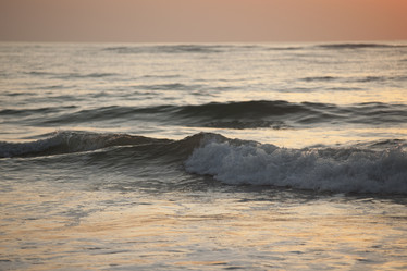 Similar image 8164196