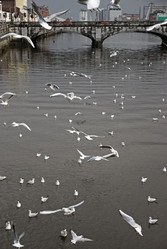 Similar image 8164203