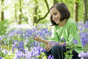 Similar image 8164208