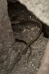 Similar image 8164222