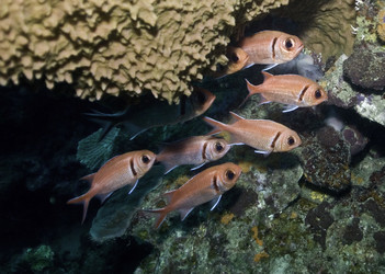 Similar image 8164232