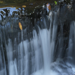 Similar image 8164234