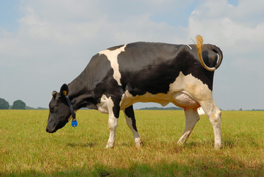 Similar image 8164240