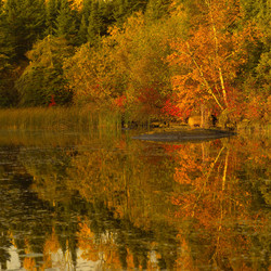 Similar image 8164258