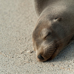 Similar image 8164270