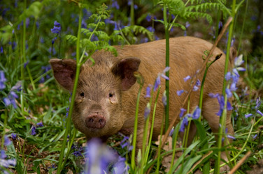 Similar image 8164275