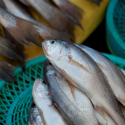 Similar image 8164278