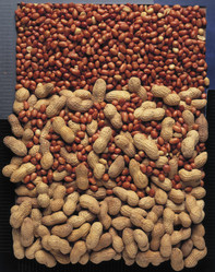 Similar image 8164279