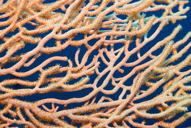 Similar image 8164281