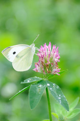 Similar image 8164284