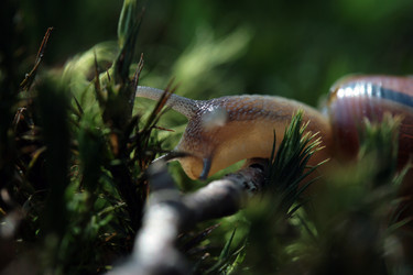 Similar image 8164286