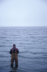 Similar image 8164294