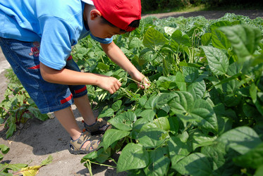 Similar image 8164299