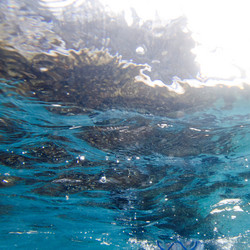 Similar image 8164301