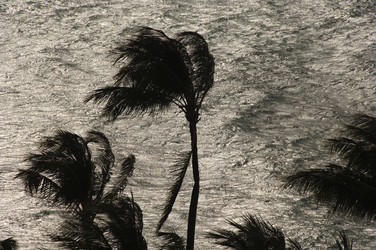 Similar image 8164304