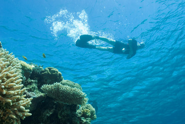 Similar image 8164314