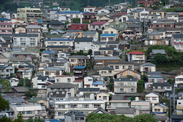 Similar image 8164316