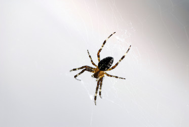 Similar image 8164319