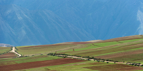 Similar image 8164323