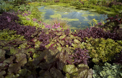 Similar image 8164324