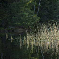 Similar image 8164328