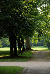 Similar image 8164340