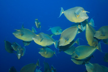 Similar image 8164342