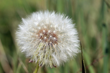 Similar image 8164344