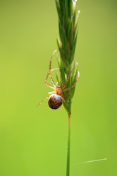 Similar image 8164355