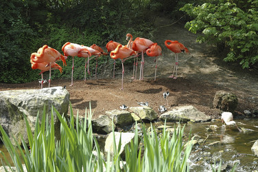 Similar image 8164363