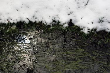 Similar image 8164368