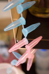 Similar image 8164376