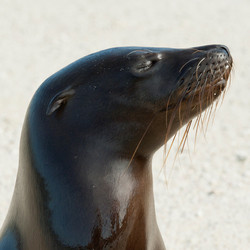 Similar image 8164389