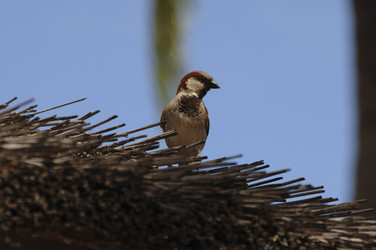 Similar image 8164395