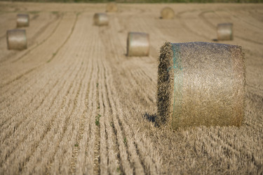 Similar image 8164399