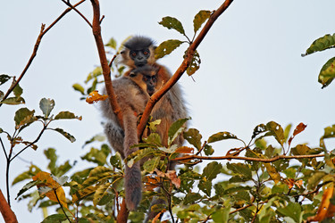 Similar image 8164407