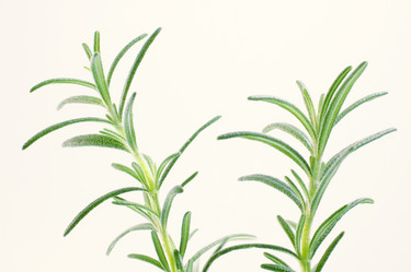 Similar image 8164420