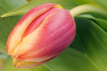 Similar image 8164421