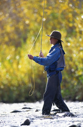 Similar image 8164422