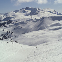 Similar image 8164445