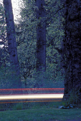 Similar image 8164449