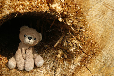 Similar image 8164457