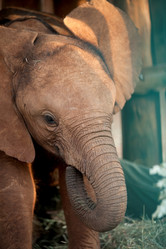 Similar image 8164460