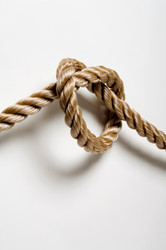 Similar image 8164466