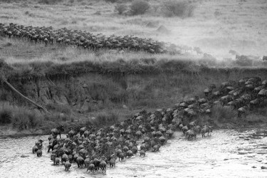 Similar image 8164468