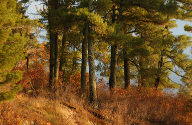 Similar image 8164482