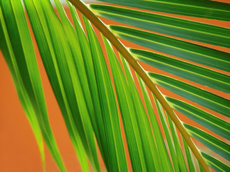 Similar image 8164484