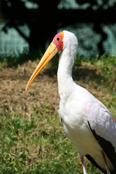 Similar image 8164487