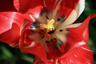 Similar image 8164493