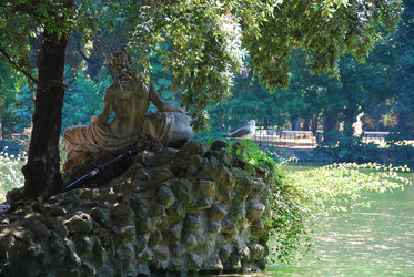 Similar image 8164494